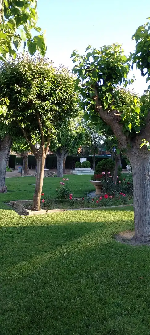 Jardín de Casa o chalet en venta en Cubas de la Sagra con Aire acondicionado, Calefacción y Trastero