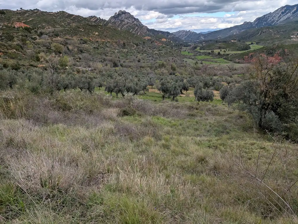 Rural land for sale in Mas de la Riba 1, imagen 8