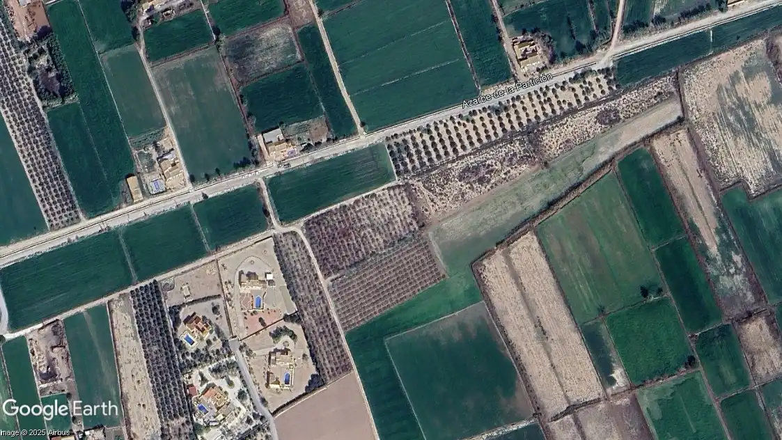 Terreno rustico in vendita a Catral, imagen 5