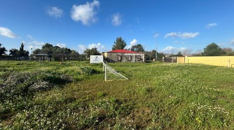 Foto 3 de Finca rústica en venda a Pedanías Norte, Utrera
