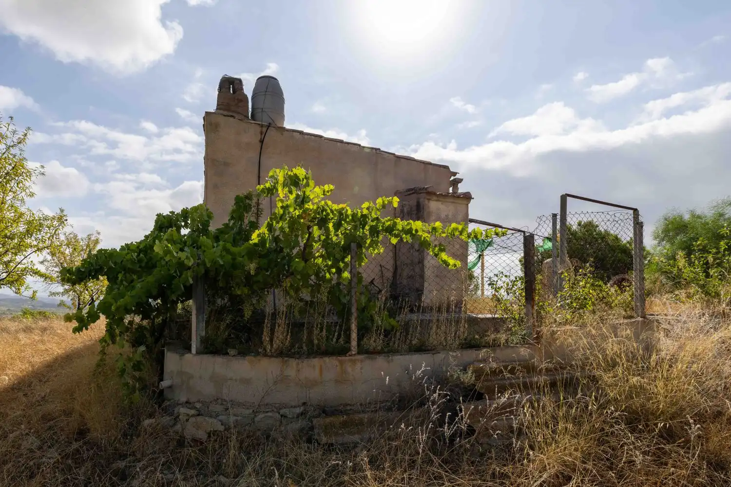 Finca rústica en venta en Mula