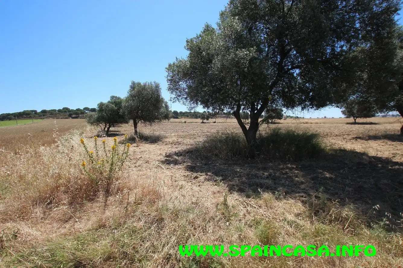 Terrenos y solares en venta en Núcleo urbano, imagen 16