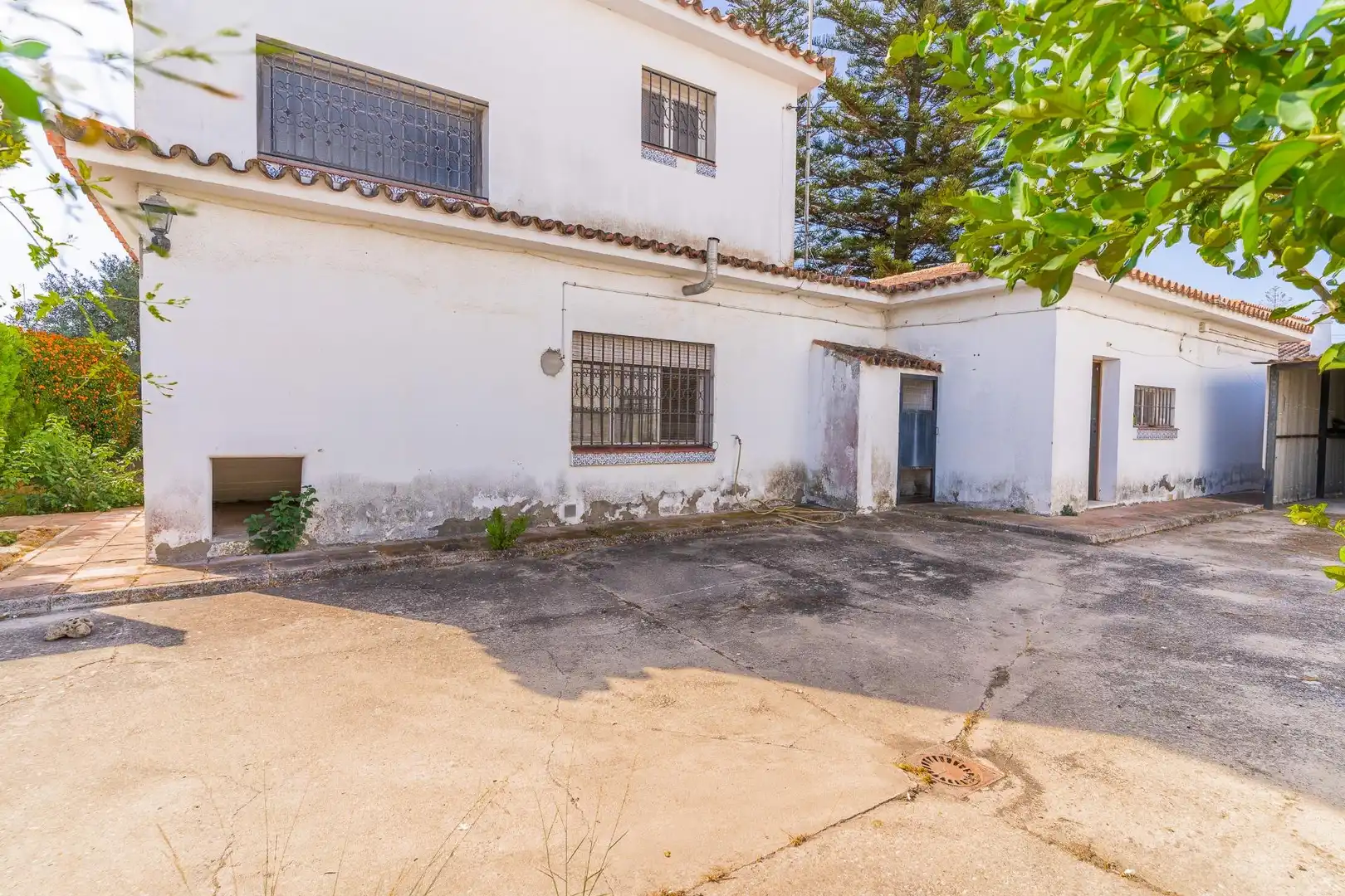 Vista exterior de Casa o xalet en venda en Crevillet - Pinar Alto