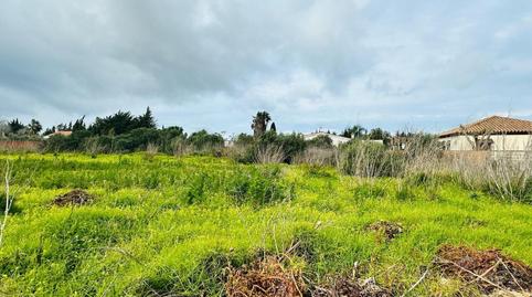 Foto 4 de Terreno en venta en Roche, Conil de la Frontera