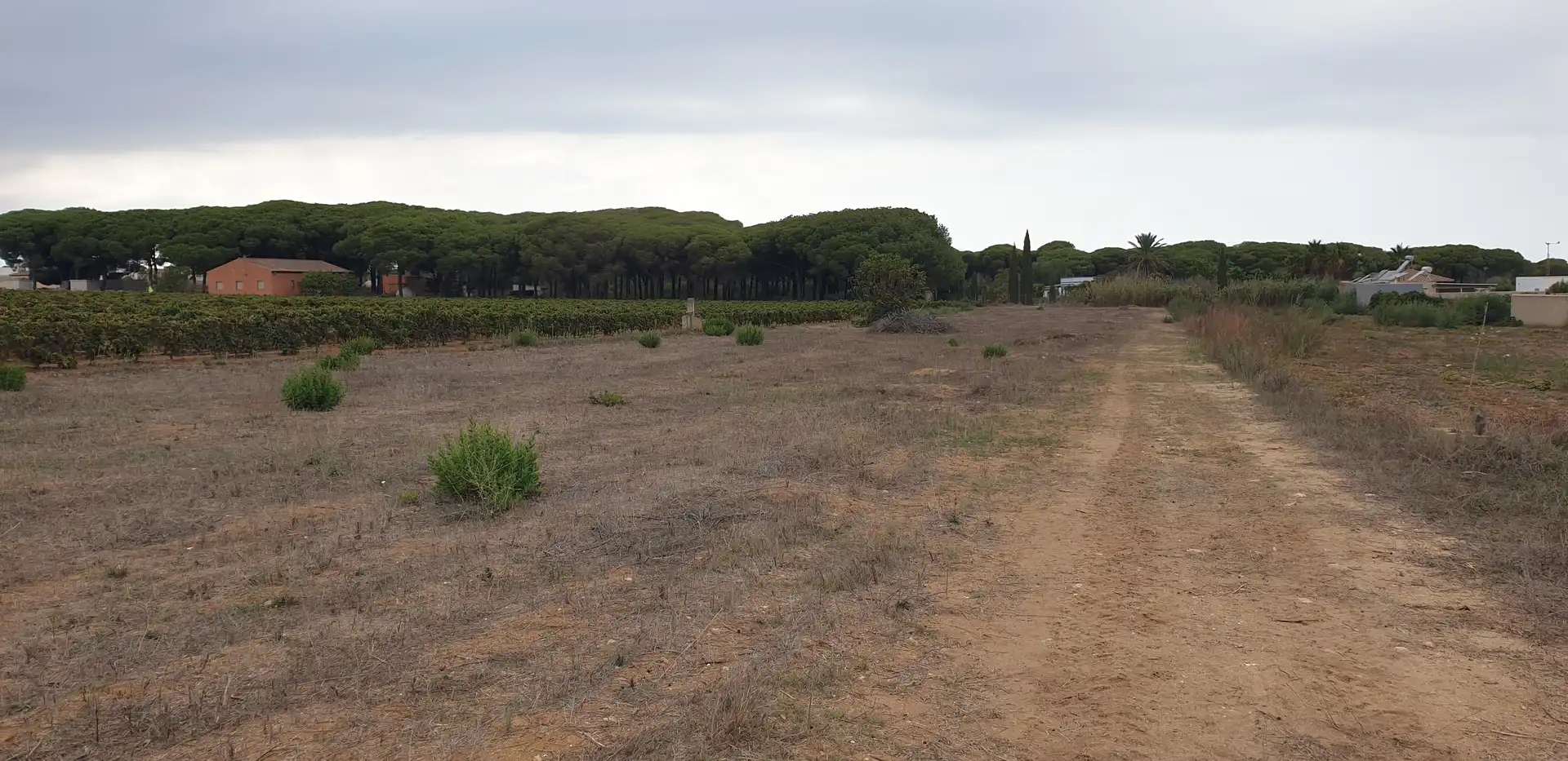 Terrenys i solars en venda a Las Lagunas - Campano, imagen 5