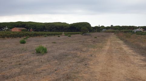 Parcela a 3km de la playa., imatge 5