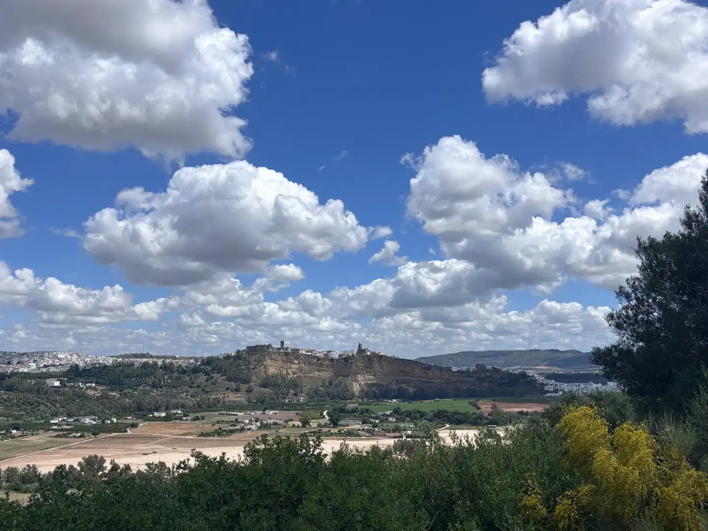 Terreni e lotti in vendita a Arcos de la Frontera, imagen 11