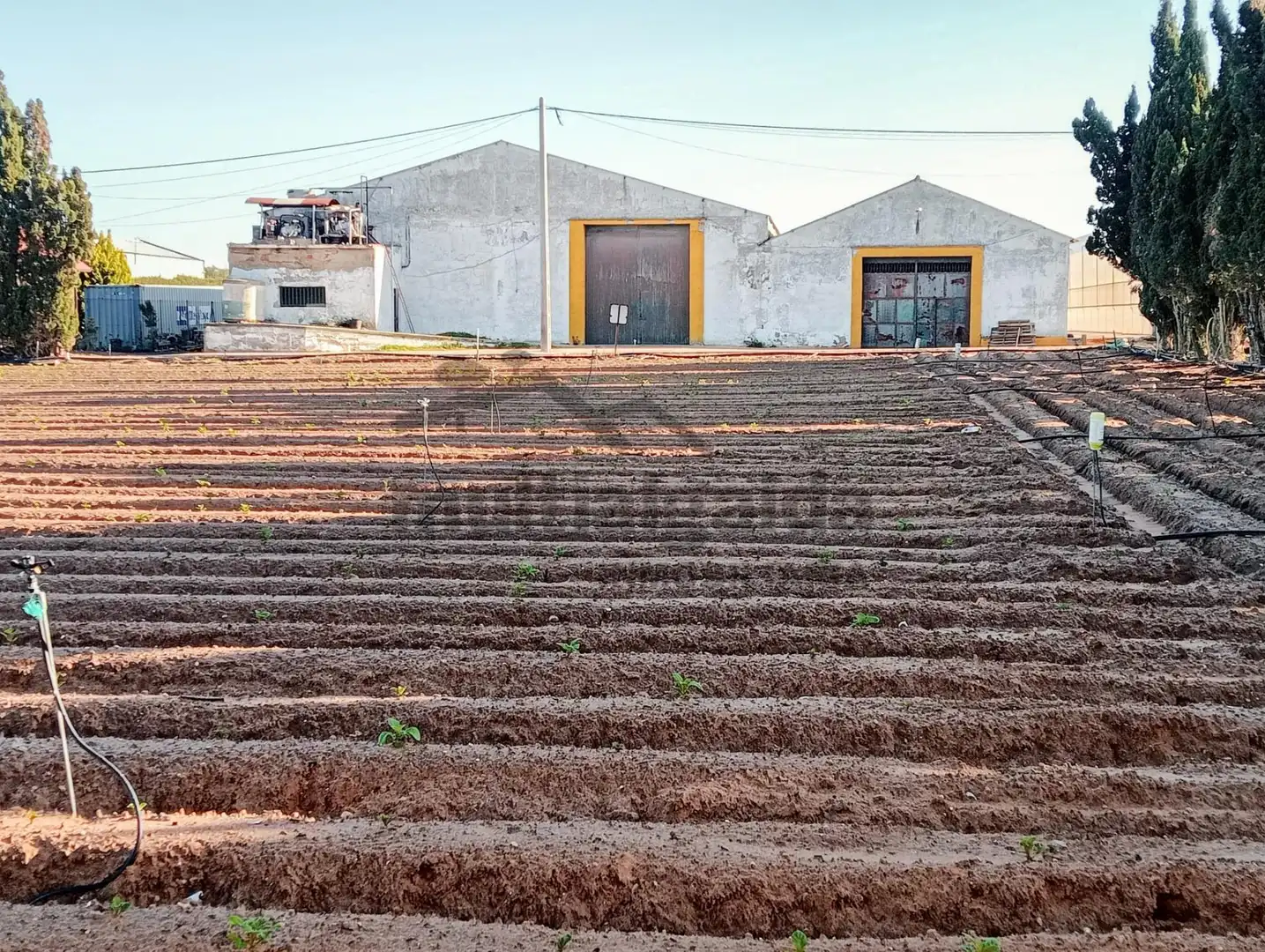 Casa rústica en venda a Chipiona Norte