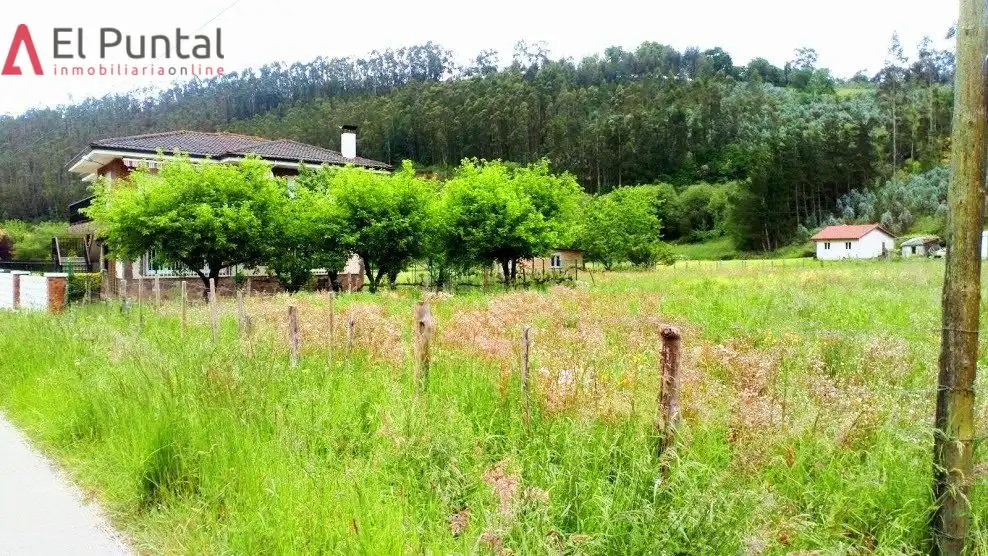 Rural land for sale in Ampuero, imagen 5