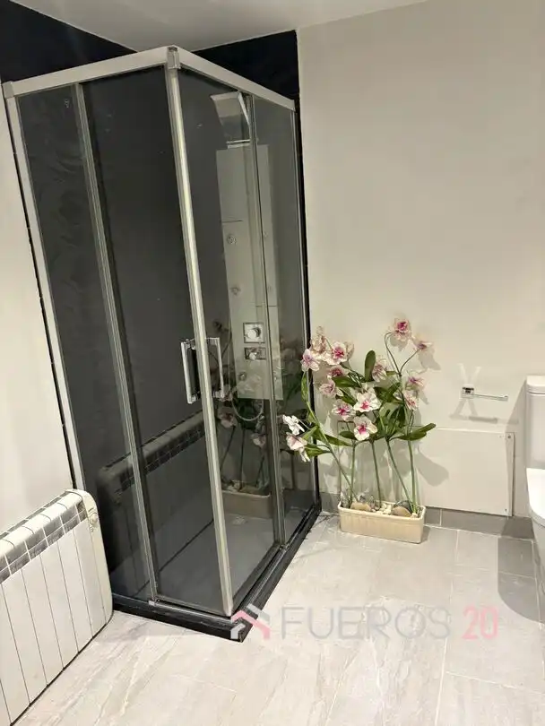 Lofts for sale in Arteagabeitia - Retuerto - Kareaga