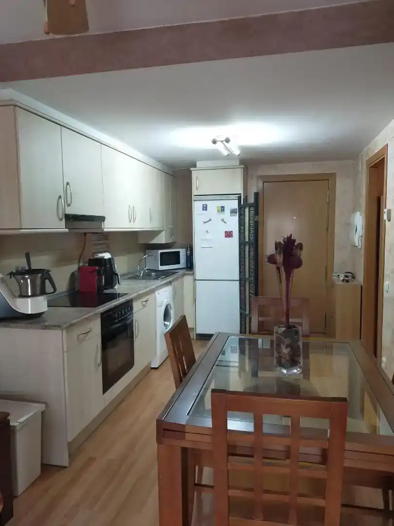 Kitchen of Apartments for rent in Puértolas  with Parquet flooring, Furnished and Oven
