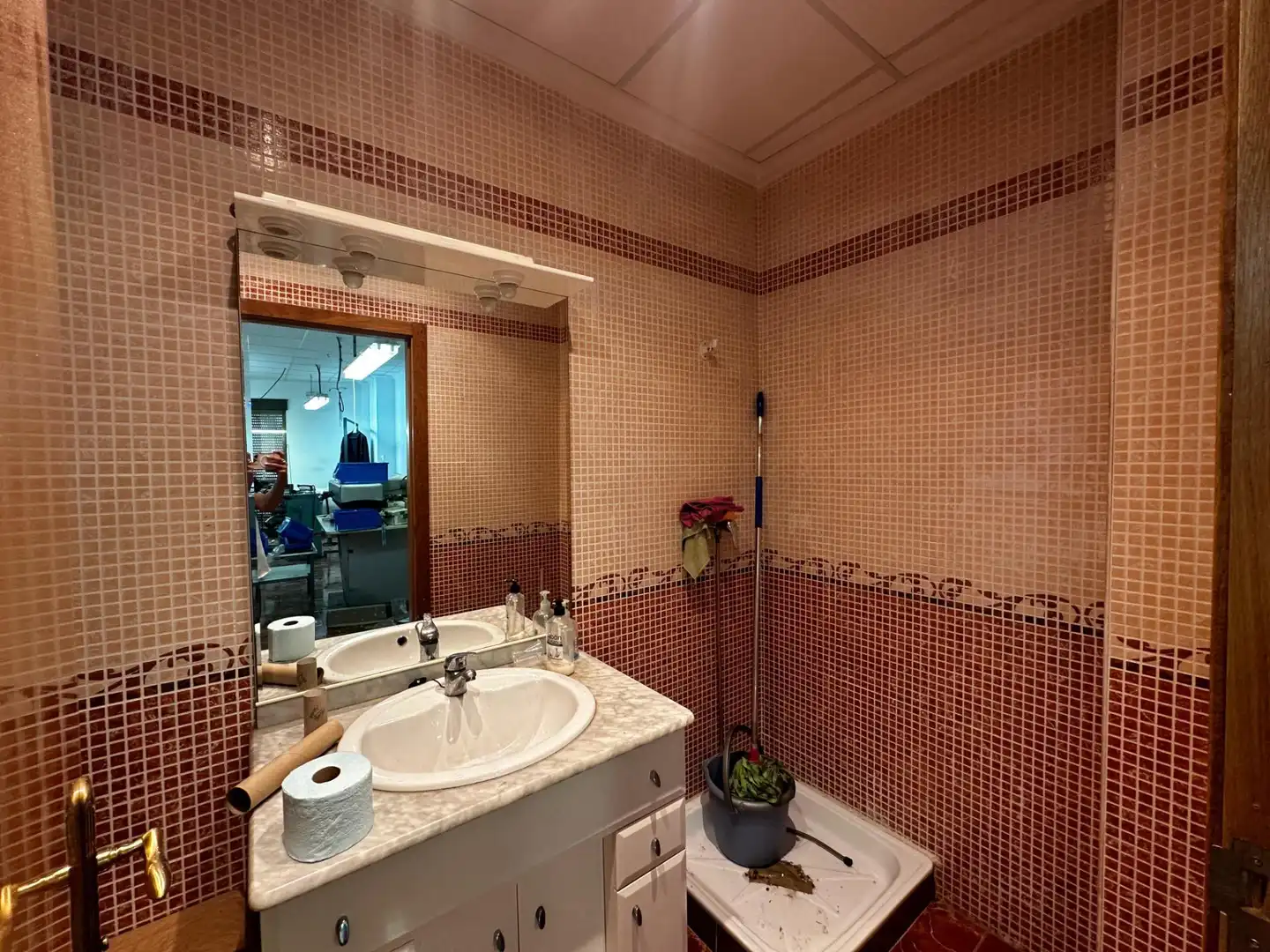 Bathroom of Buildings for sale in Llombai