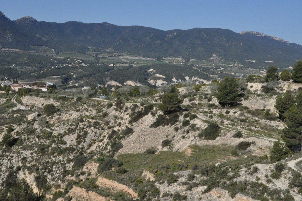 Industrial land for sale in Tibi