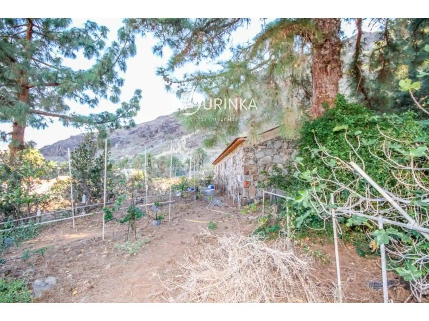 Casa o chalet en venta en DE LA CORTE, San Bartolomé Interior