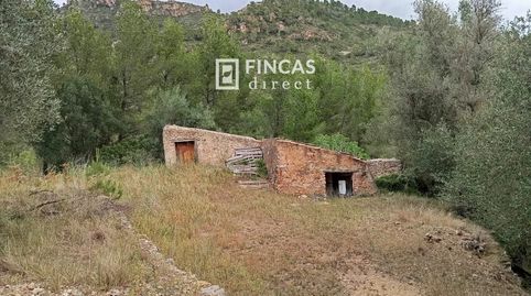 Finca Extensa en Els Ports Masía, Caseta y Proyecto de Camping, imatge 3