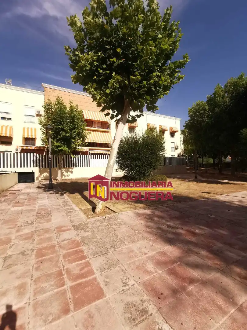Vista exterior de Piso en venta en Écija