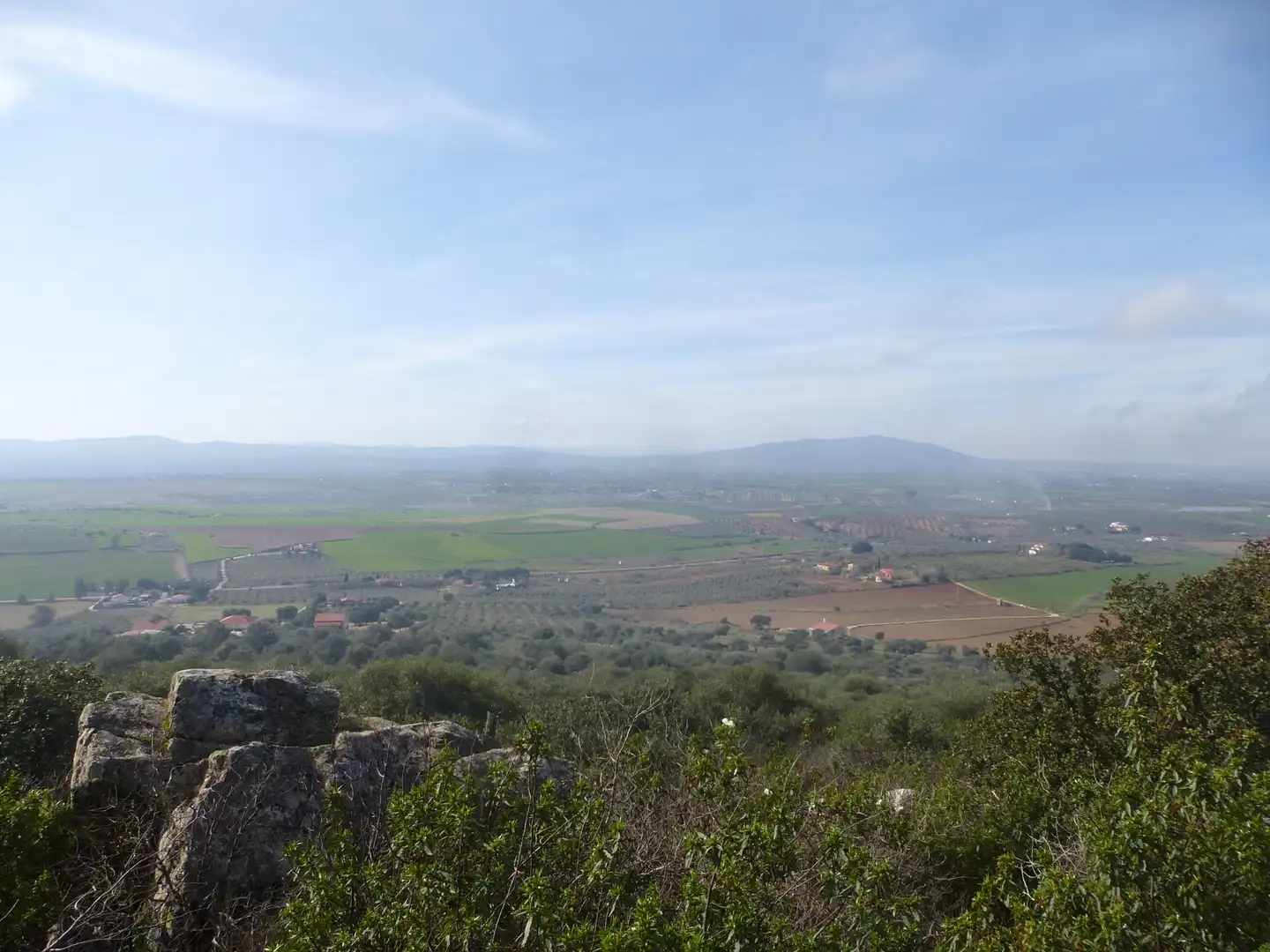 Land for sale in La Haba 