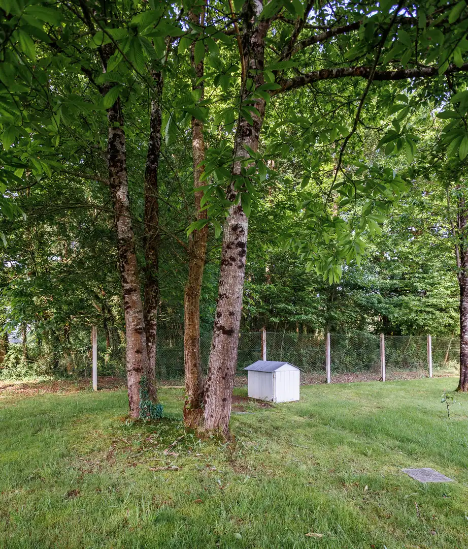 Jardín de Finca rústica en venta en Castro de Rei con Amueblado