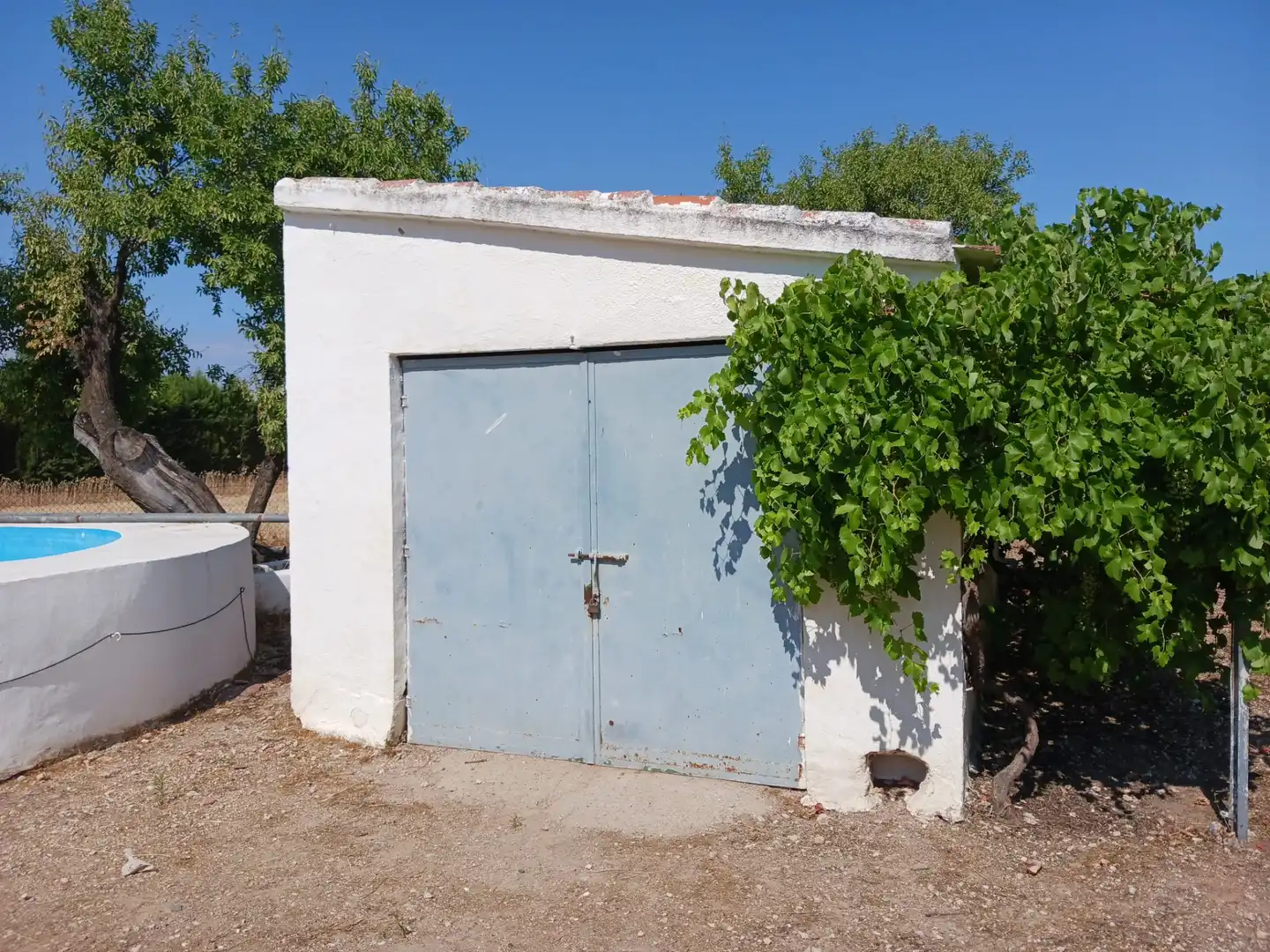 Vista exterior de Finca rústica en venta en Ciudad Real con Amueblado