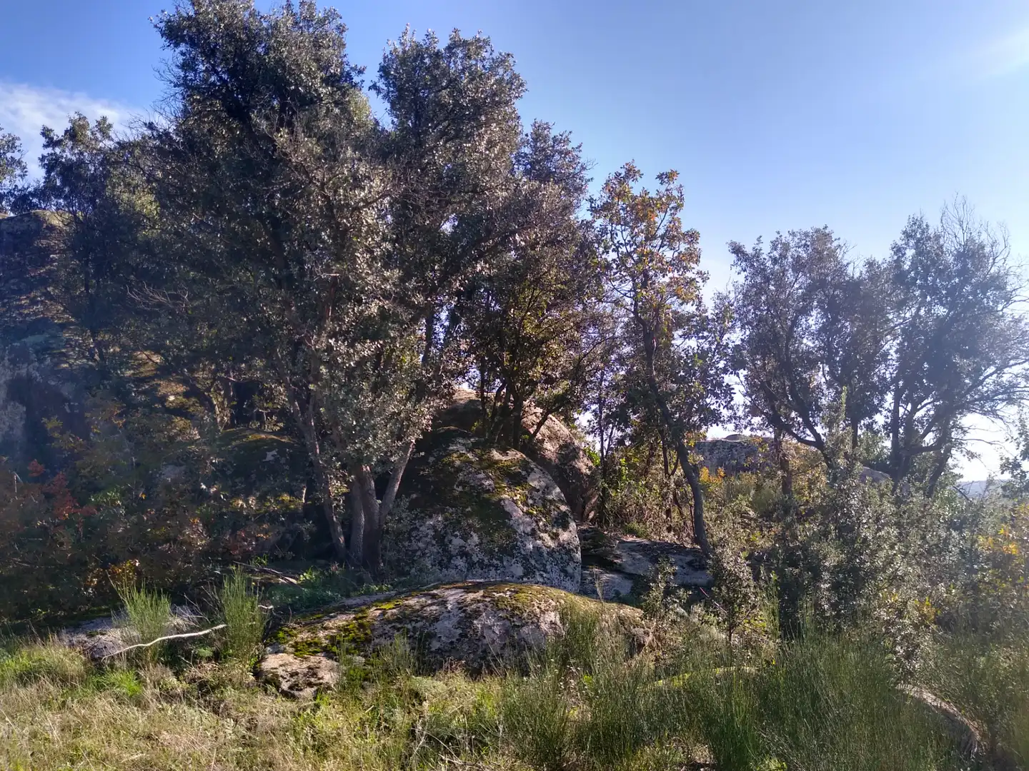 Rural land for sale in Cadalso de los Vidrios, imagen 11