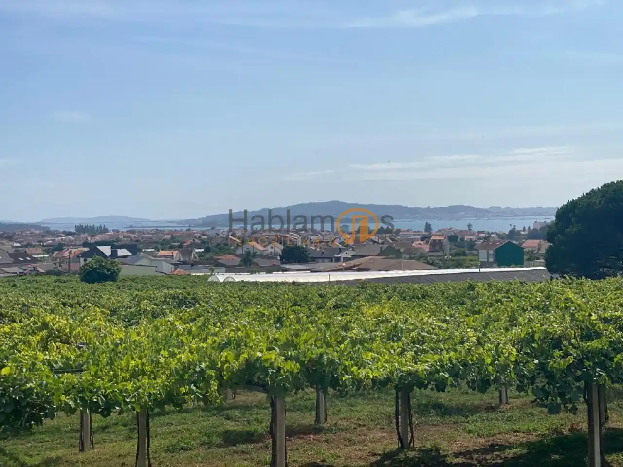 Xalet amb jardí en venda a Cambados