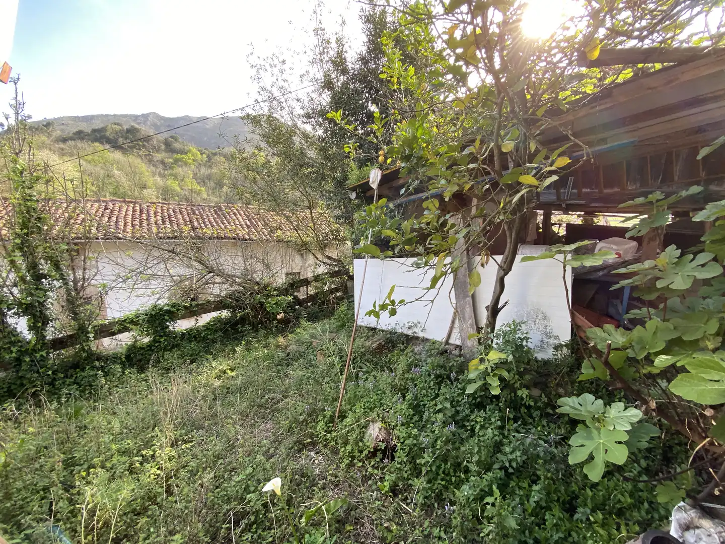 Jardín de Casa o chalet en venta en Llanes con Jardín privado, Terraza y Trastero