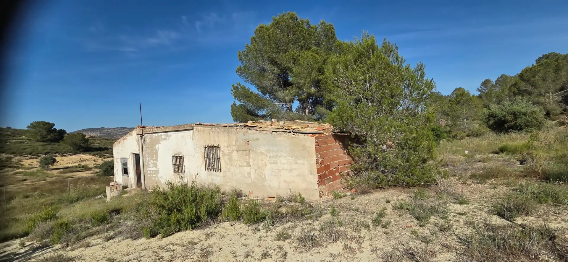 Vista exterior de Casa o chalet en venta en El Pinós / Pinoso con Piscina