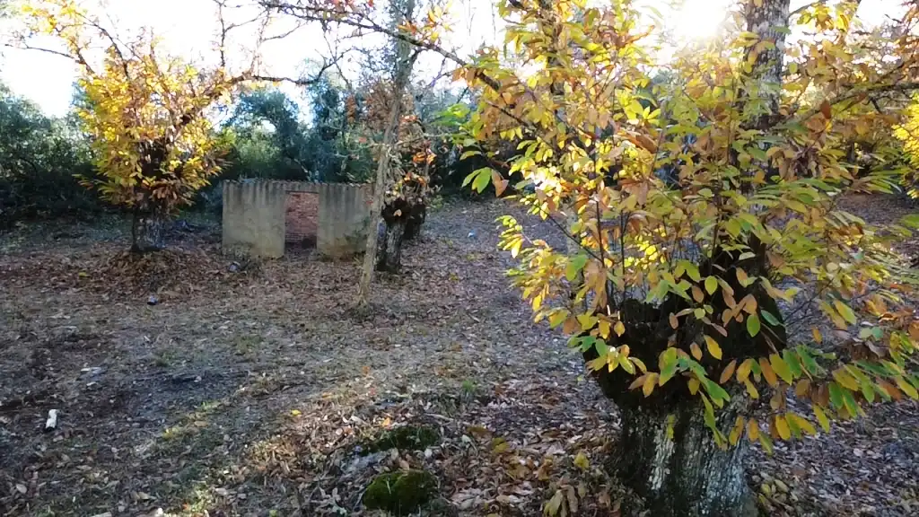 Terreni e lotti in vendita a Fuenteheridos, imagen 13