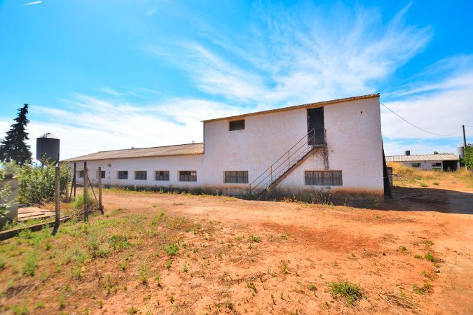 Vista exterior de Finca rústica en venda en Arriate amb Jardí privat i Traster