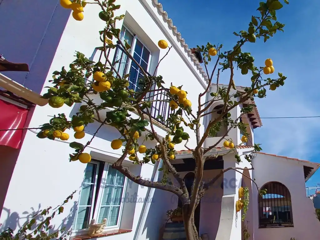 House for sale in Son Vilar - Trepucó, imagen 33