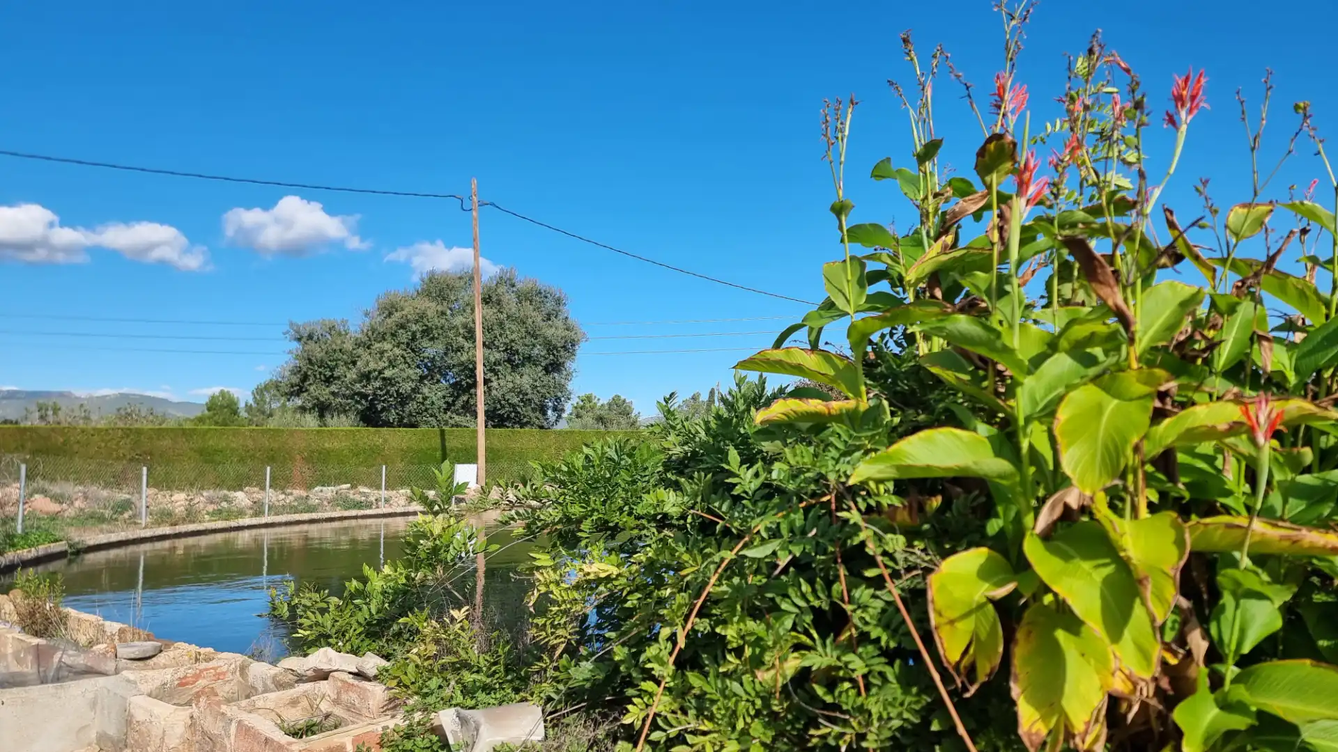 Terreno en venta en Vilallonga del Camp