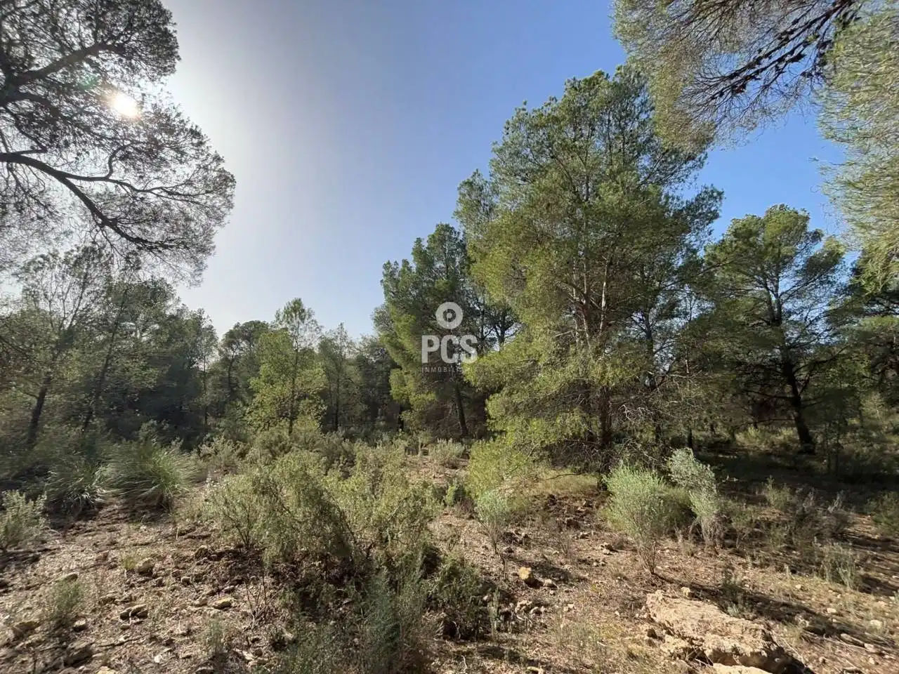 Terreny rústic en venda a Calle Sierra Espuña Anexo Balsa Grande 3 S/N, imagen 8