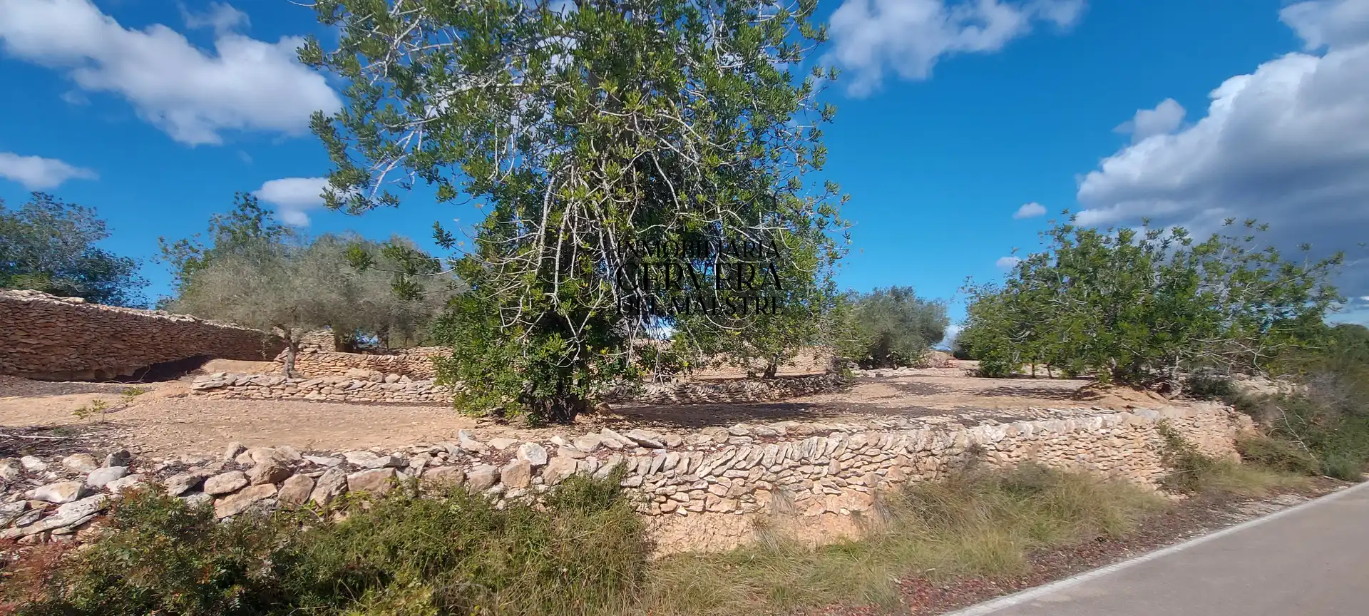 Terreno rustico in vendita a Partidas de interior - Zona Rústica, imagen 33