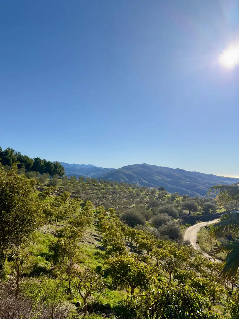 Vista exterior de Casa o xalet en venda en Vélez-Málaga amb Piscina