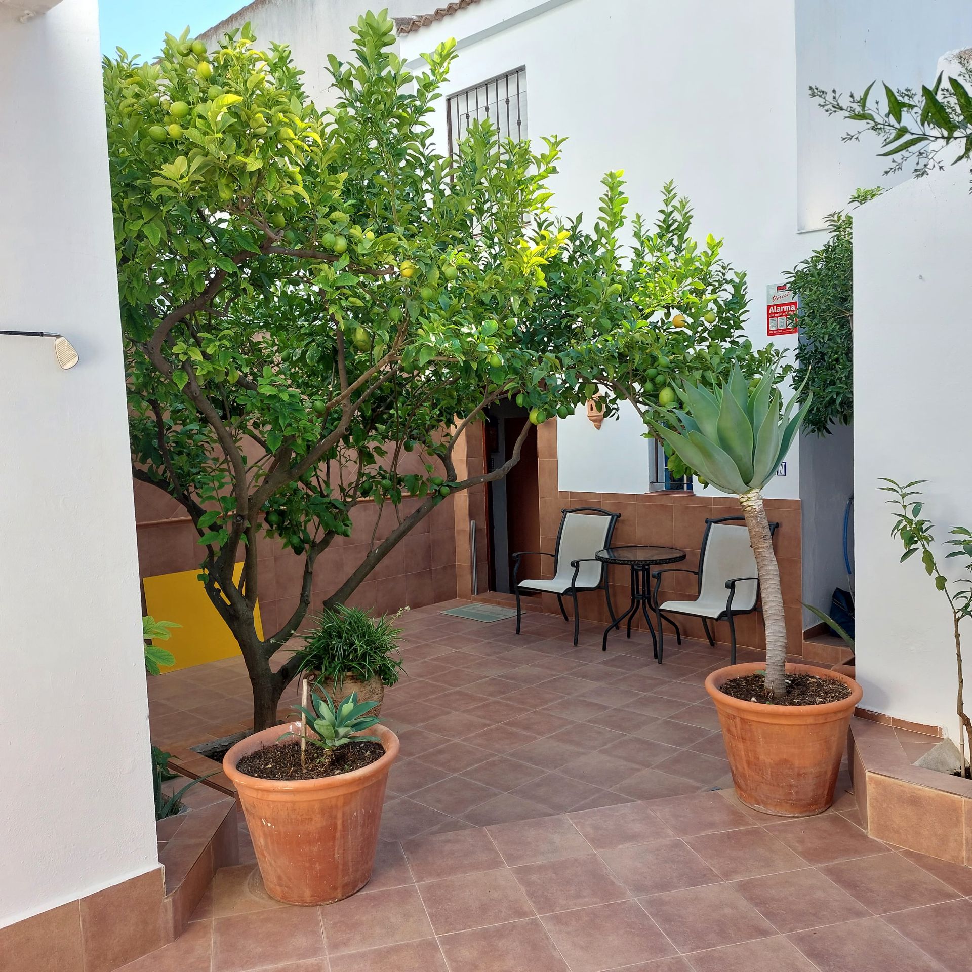 Casa o xalet en venda a Mollina