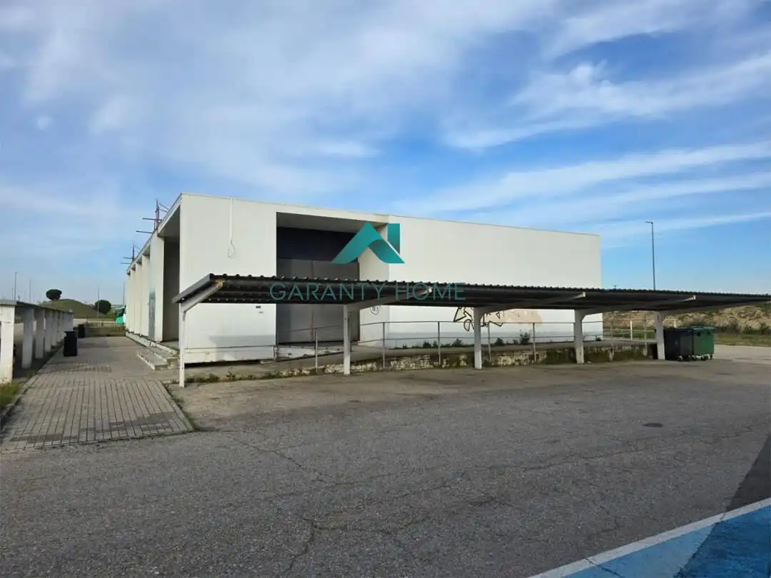 Local commercial à louer à Parque Ondarreta - Urtinsa, imagen 2