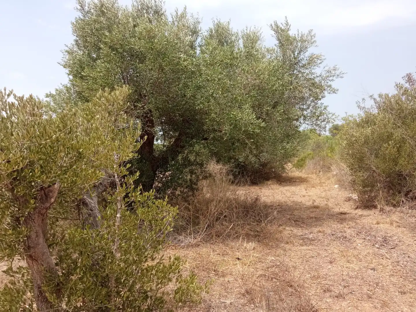 Residencial en venta en Salou