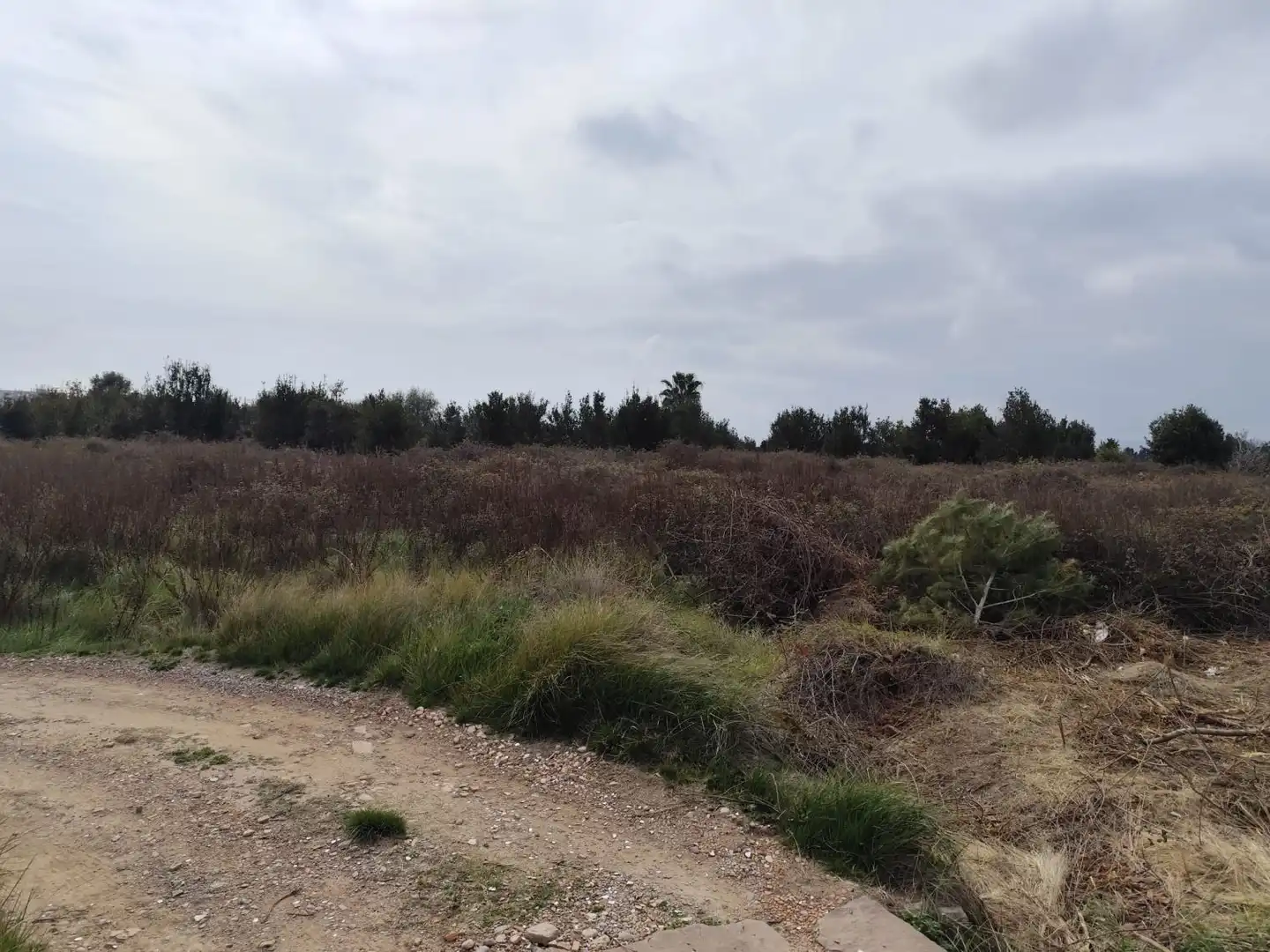 Residential for sale in Sagunto / Sagunt