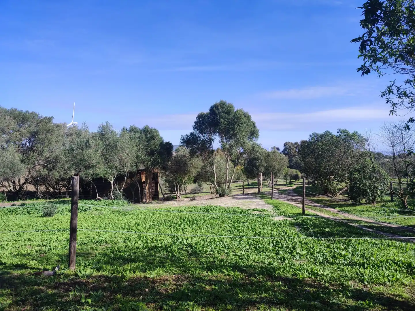 Haus oder Chalet zum Verkauf in Vejer de la Frontera mit Heizung, Privatgarten und Parkett