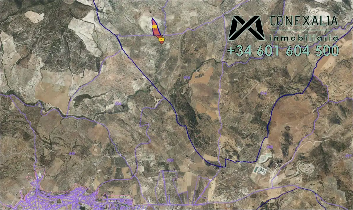 Finca rústica en venta en Pruna