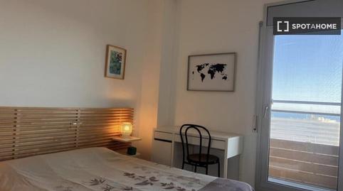 Photo 2 of Flat to share in Port Forum, Barcelona