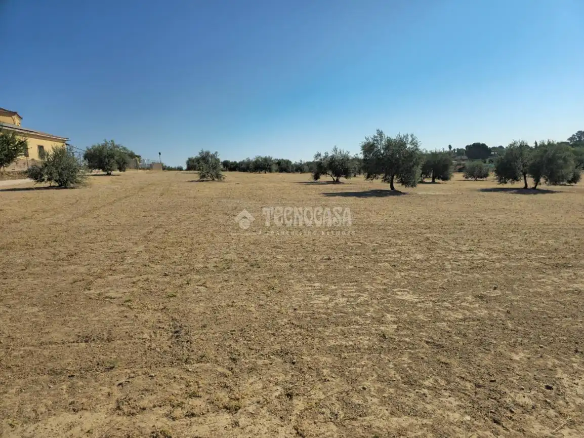 Rural land for sale in Arahal, imagen 8