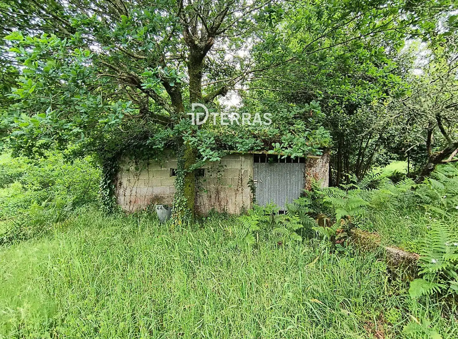 Casa o chalet en venta en Ponte Caldelas con Jardín privado