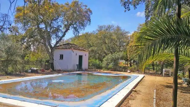 Piscina de Residencial en venta en Arcos de la Frontera