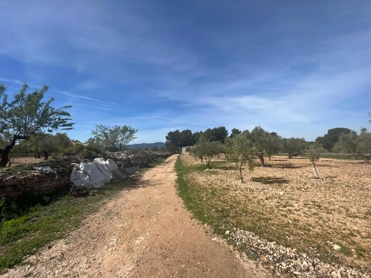 Chalet con jardín en venta en Calle Poligono, imagen 69