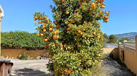 Foto 2 de Piso en venta en N/a, -1, Castalla, Alicante