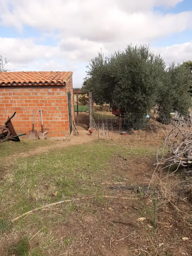 Finca rústica en venta en Jerte