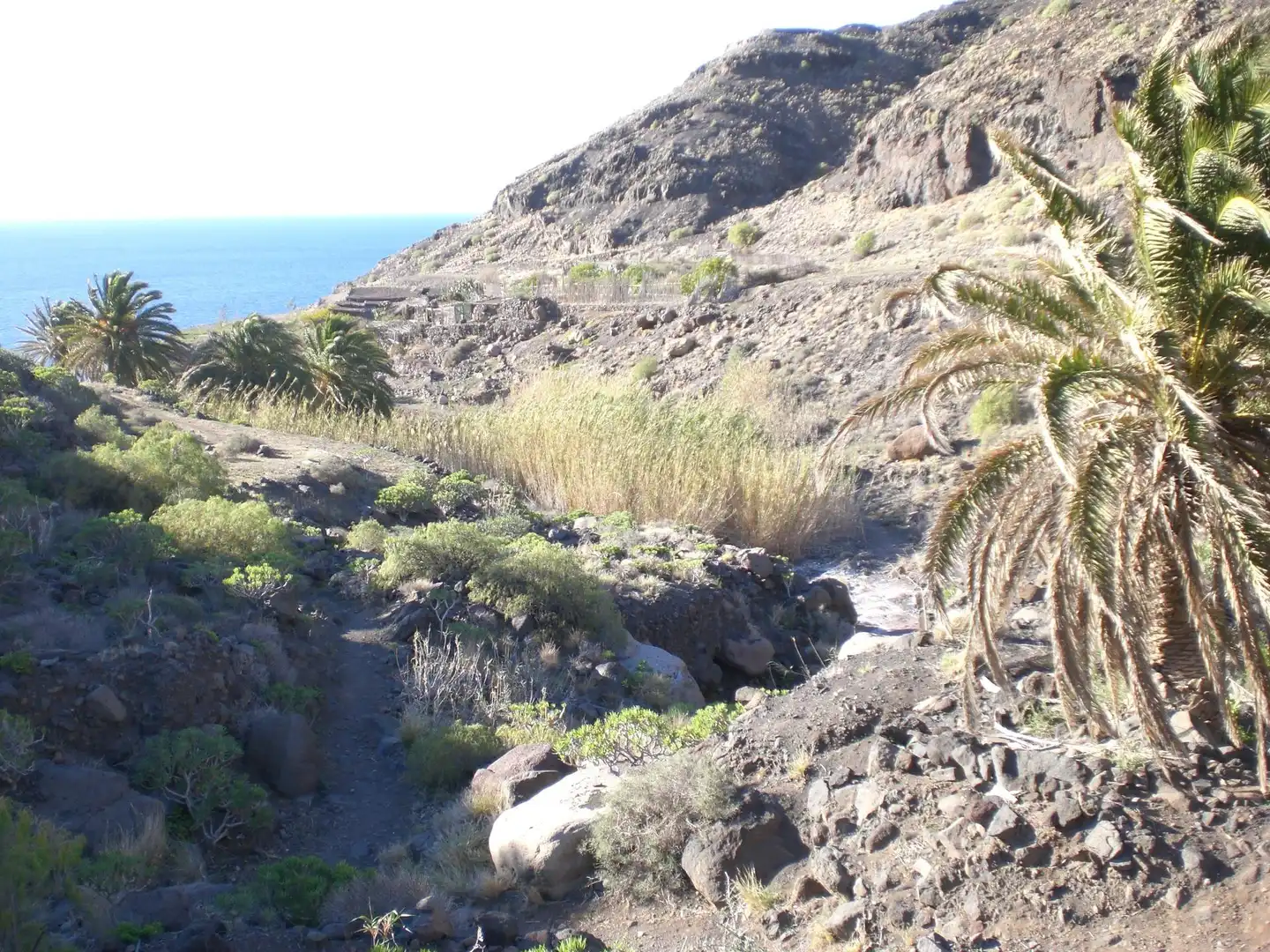 Vista exterior de Finca rústica en venta en La Aldea de San Nicolás  con Jardín privado, Terraza y Trastero