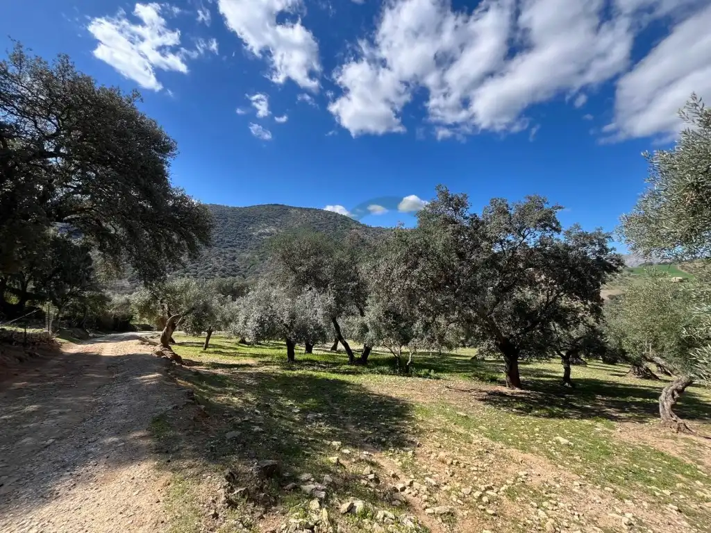 Finca rústica en venda en Ronda