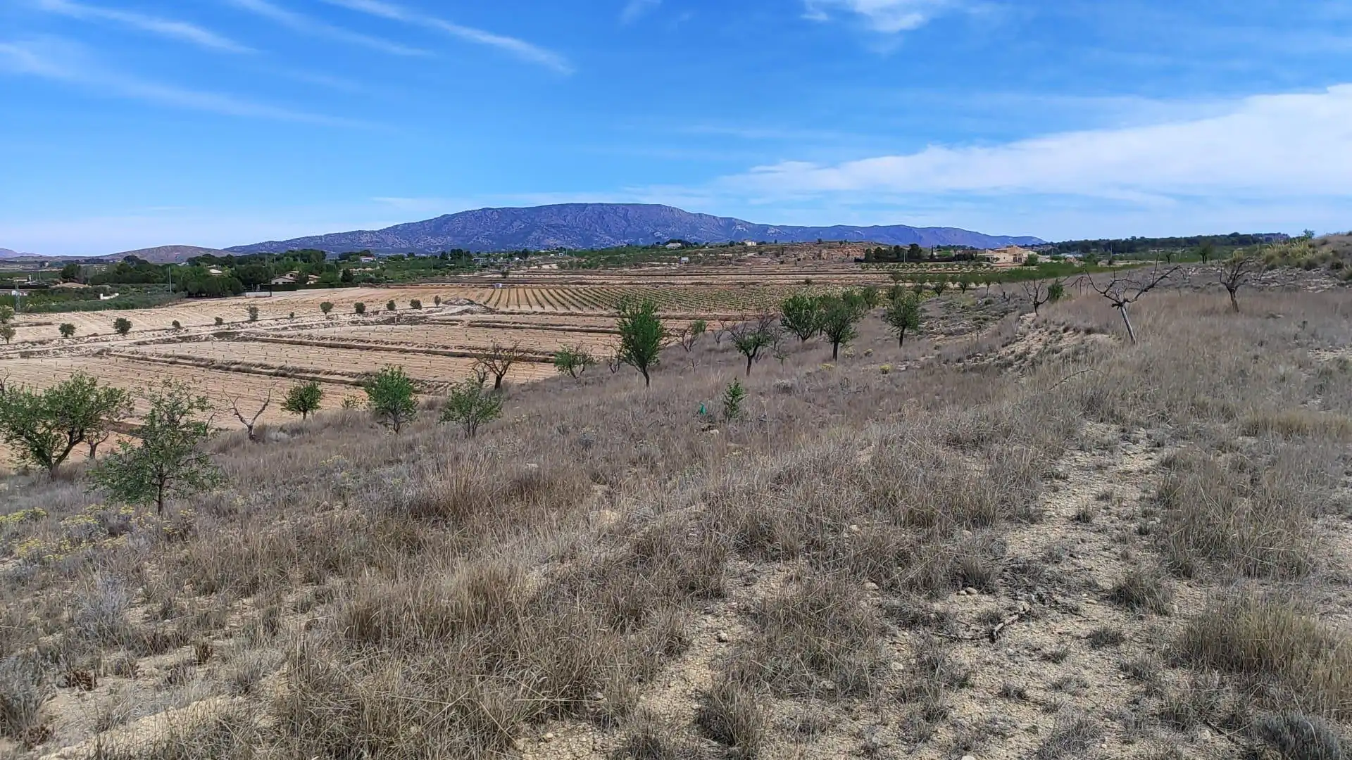 Rural land for sale in El Pinós / Pinoso